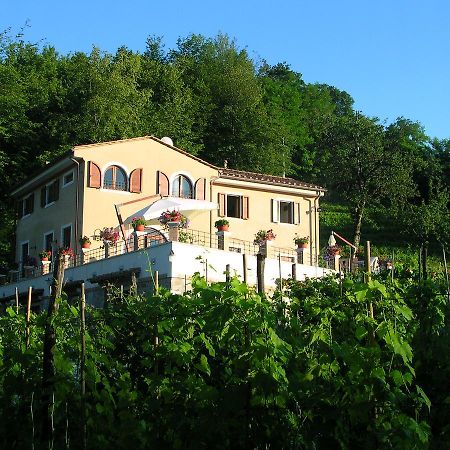Galleria Ars Apua Bed and Breakfast Carrara Exteriör bild