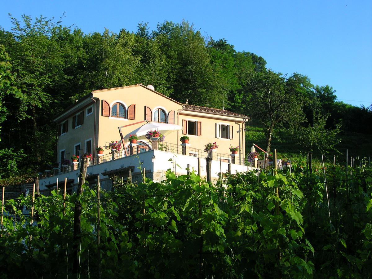 Galleria Ars Apua Bed and Breakfast Carrara Exteriör bild