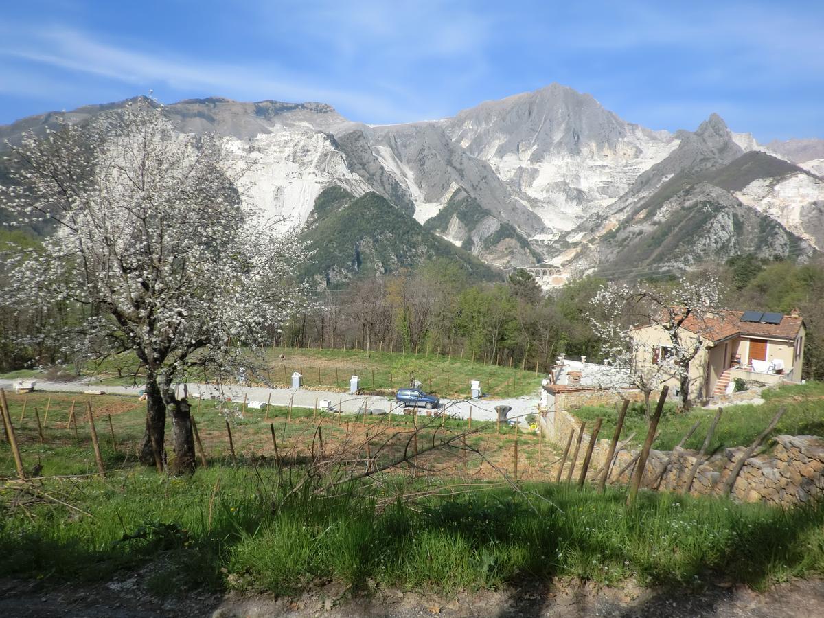Galleria Ars Apua Bed and Breakfast Carrara Exteriör bild